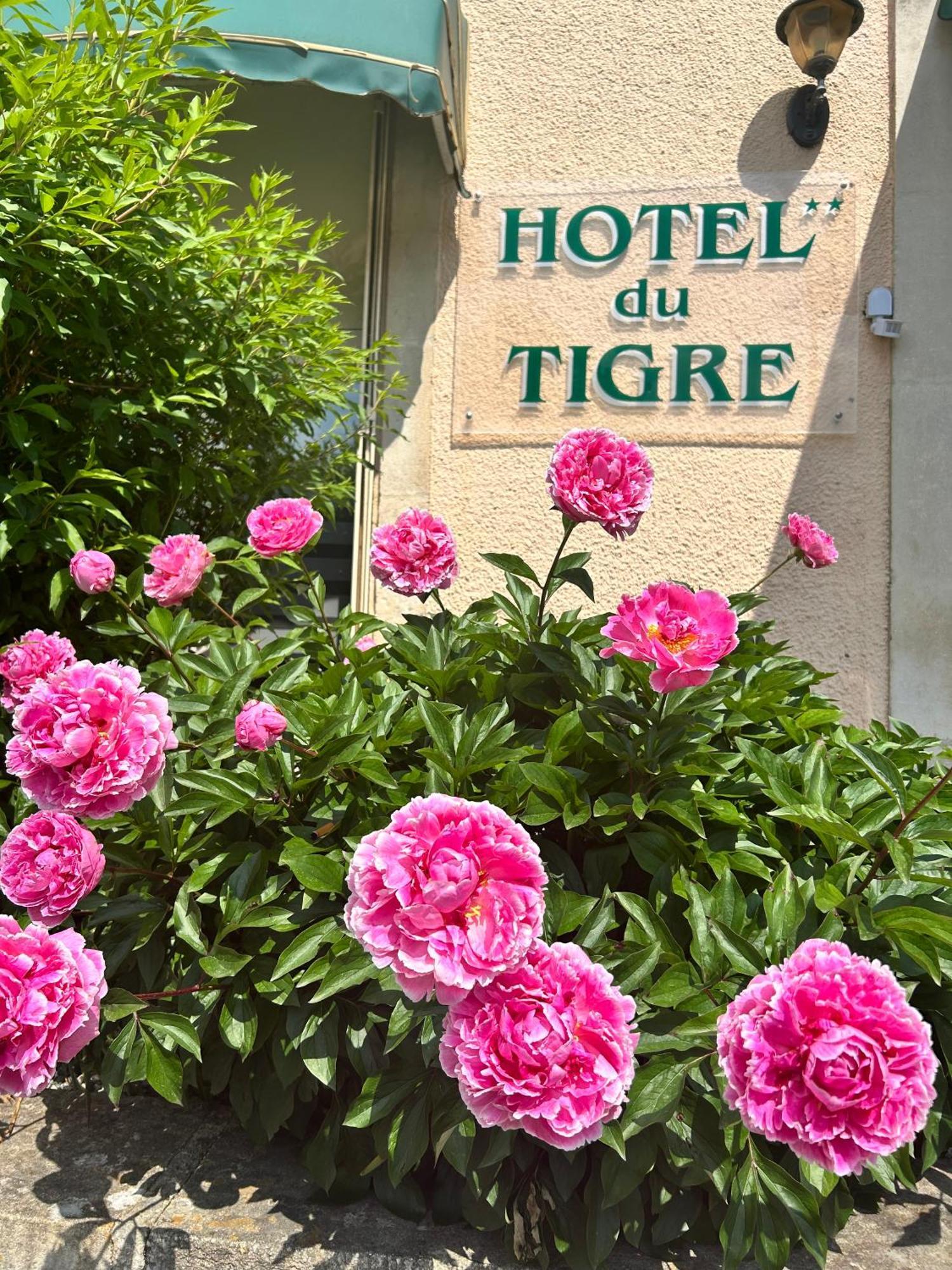 Cit'Hotel Du Tigre Верден-сюр-Мёз Экстерьер фото